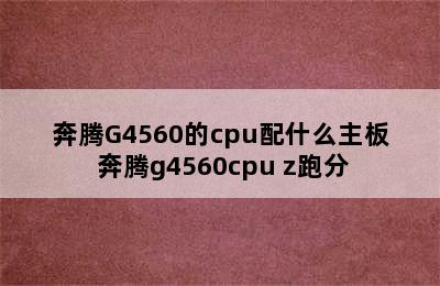 奔腾G4560的cpu配什么主板 奔腾g4560cpu z跑分